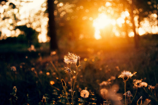Build your baseline: Worship that grounds you