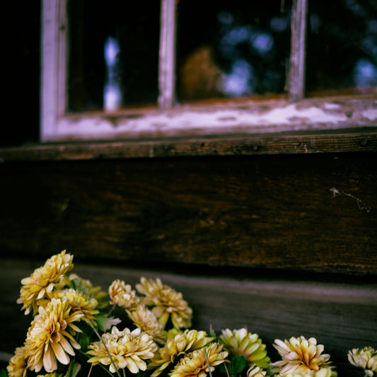 The only Muslim in town: Reflections on isolation and life in rural America